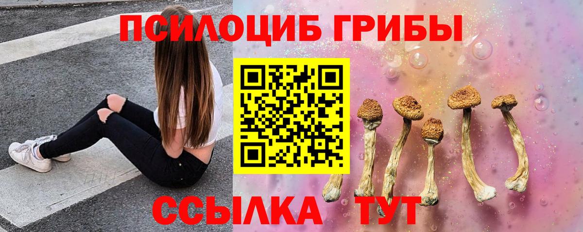 Галлюциногенные грибы GOLDEN TEACHER  Галлюциногенные грибы прущие грибы  Вход с VPN  Нижний Тагил 